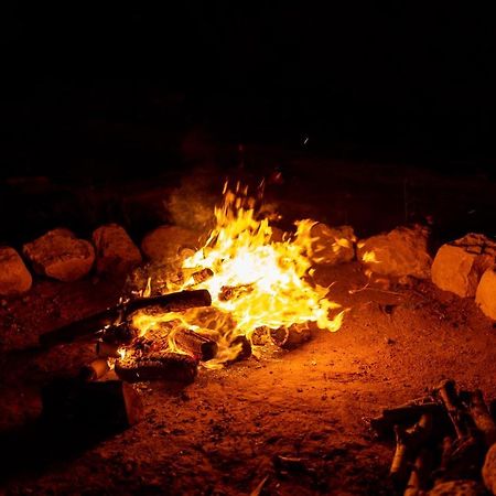 The Rock Camp Petra 호텔 와디무사 외부 사진