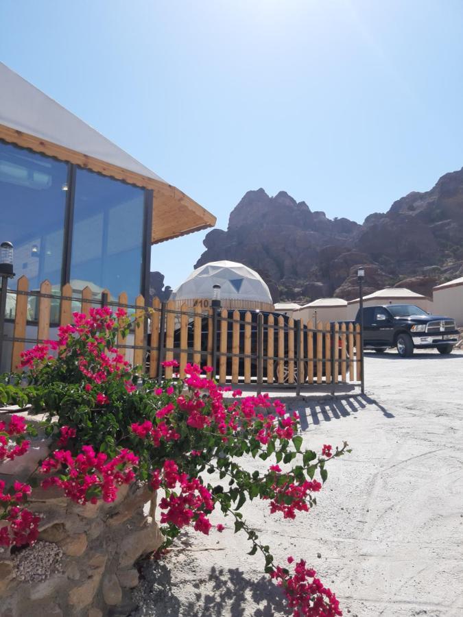 The Rock Camp Petra 호텔 와디무사 외부 사진