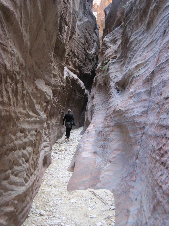 The Rock Camp Petra 호텔 와디무사 외부 사진