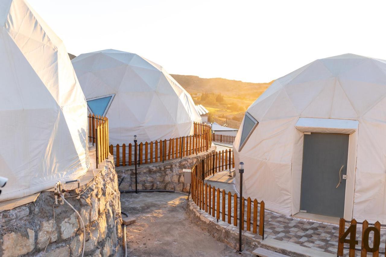 The Rock Camp Petra 호텔 와디무사 외부 사진