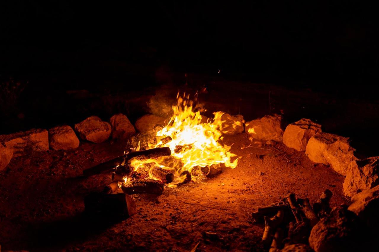 The Rock Camp Petra 호텔 와디무사 외부 사진